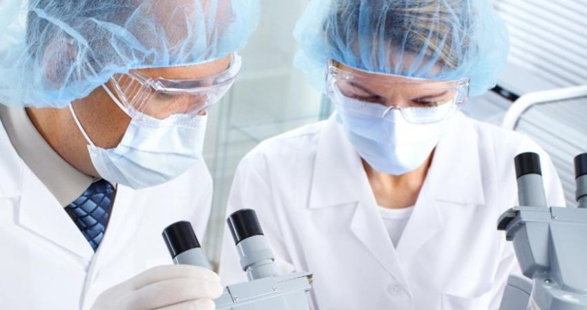 Investigadores do Porto criam sistema que direciona f&aacute;rmacos aos tumores gastrointestinais