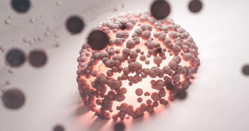 Estudo abre novas possibilidades no combate &agrave; resist&ecirc;ncia bacteriana a antibi&oacute;ticos