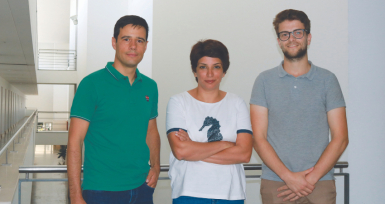 Objetivo: cortar caminho no desenvolvimento de f&aacute;rmacos