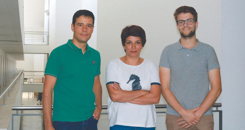 Objetivo: cortar caminho no desenvolvimento de f&aacute;rmacos