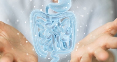 Biocodex Microbiota Institute e WGO juntam-se pela partilha de informa&ccedil;&atilde;o sobre a microbiota intestinal