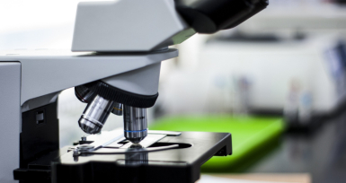Pfizer e ISA apoiam projetos de investiga&ccedil;&atilde;o em amiloidose por transtirretina