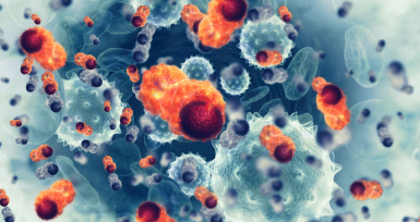 Desenvolvida t&eacute;cnica que aumenta significativamente o poder das c&eacute;lulas contra o cancro
