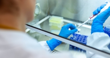 Governo quer farmac&ecirc;uticas portuguesas a produzir vacinas da COVID-19
