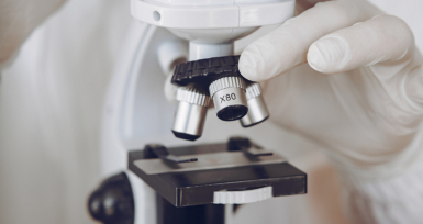 INSA dispon&iacute;vel para estudo piloto para atrofia muscular espinhal ainda este ano