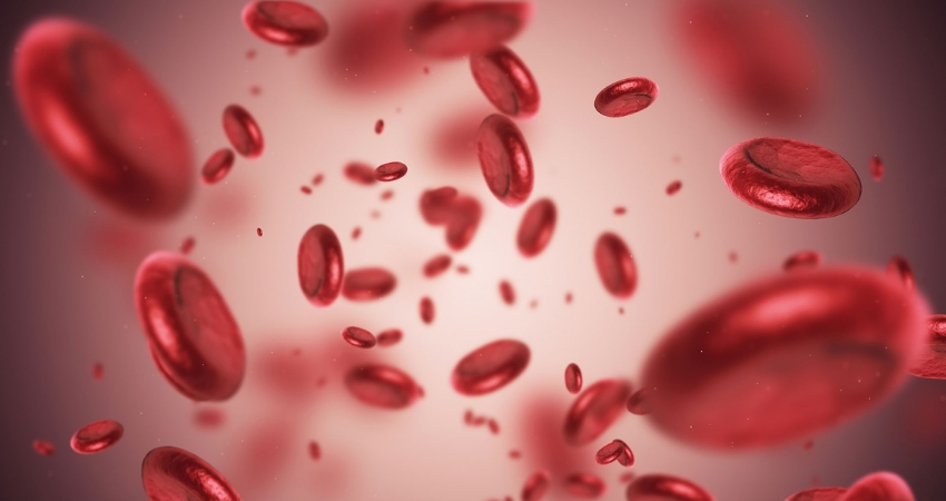 Estudo PROMPT: benef&iacute;cios do tratamento com metirapona em doentes com s&iacute;ndrome de Cushing end&oacute;gena