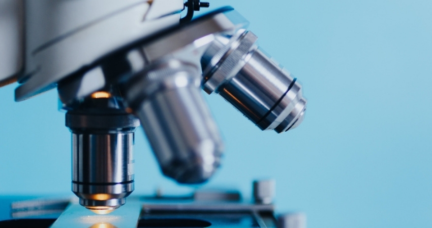 GSK e Vir Biotechnology anunciam novo estudo para avaliar potencial tratamento precoce da COVID-19