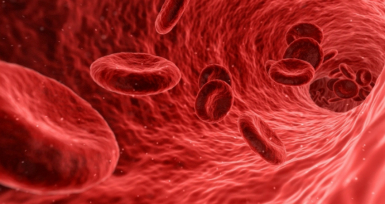 Pfizer apoia iniciativas independentes com bolsas de investiga&ccedil;&atilde;o na &aacute;rea da hemofilia