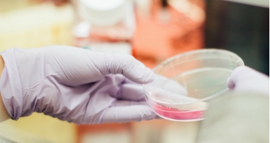 Tafamidis aprovado na UE para o tratamento da miocardiopatia amiloid&oacute;tica associada &agrave; transtirretina