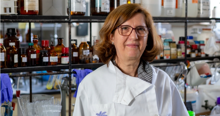 Investigadores da FFUL pesquisam novos compostos para eventual medicamento para a tuberculose