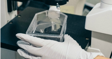 Zentiva lan&ccedil;a medicamento de tratamento a crian&ccedil;as e adultos com VIH tipo 1