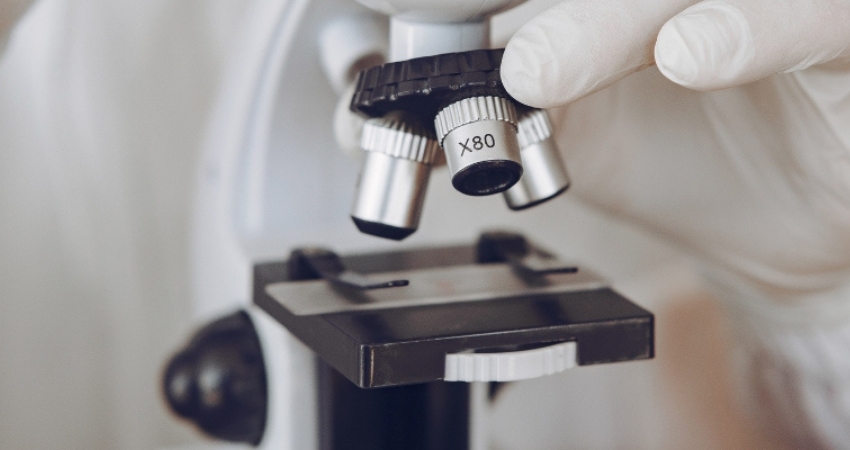 GSK apresenta dados positivos de efic&aacute;cia de dostarlimab