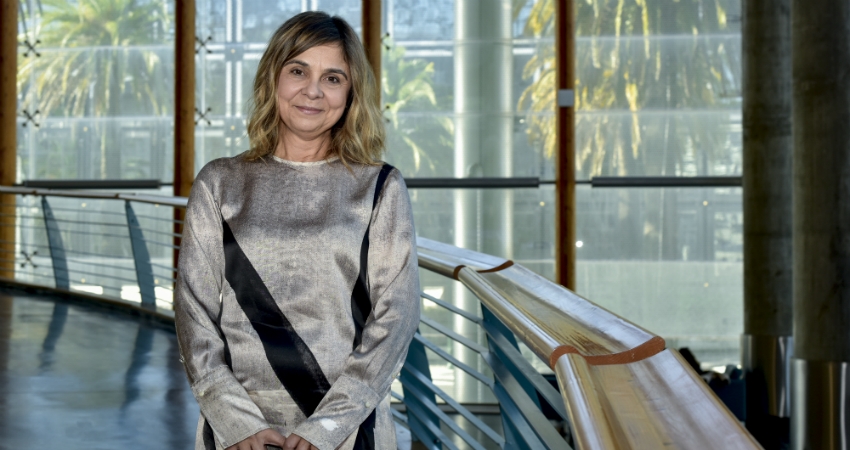 A import&acirc;ncia da afirma&ccedil;&atilde;o dos farmac&ecirc;uticos hospitalares no SNS