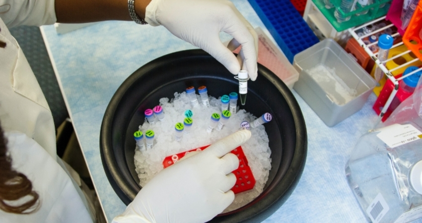 CE aprova vedolizumab para doentes adultos com colite ulcerosa ou doen&ccedil;a de Crohn moderada a grave