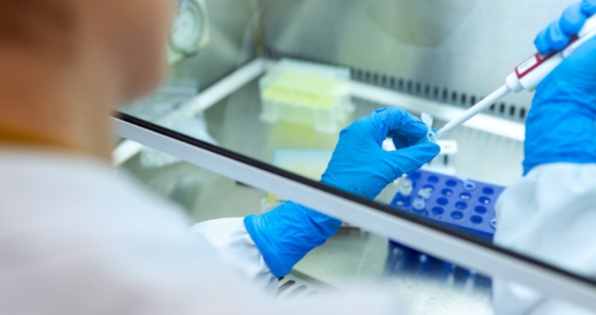 EMA d&aacute; parecer positivo &agrave; recomenda&ccedil;&atilde;o de aprova&ccedil;&atilde;o de dostarlimab para mulheres com cancro do endom&eacute;trio